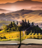 book scenery image